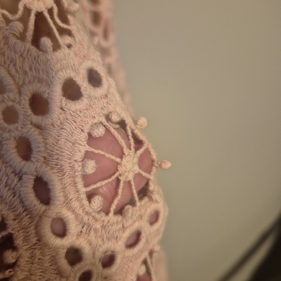 Free People Pink Lace Button-Up Shirt Yesenia Mae Crochet Shacket Large NWT top - Picture 5 of 11